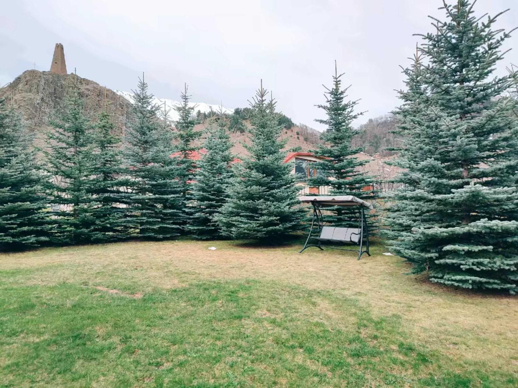 Vardisubani Villa Kazbegi Esterno foto