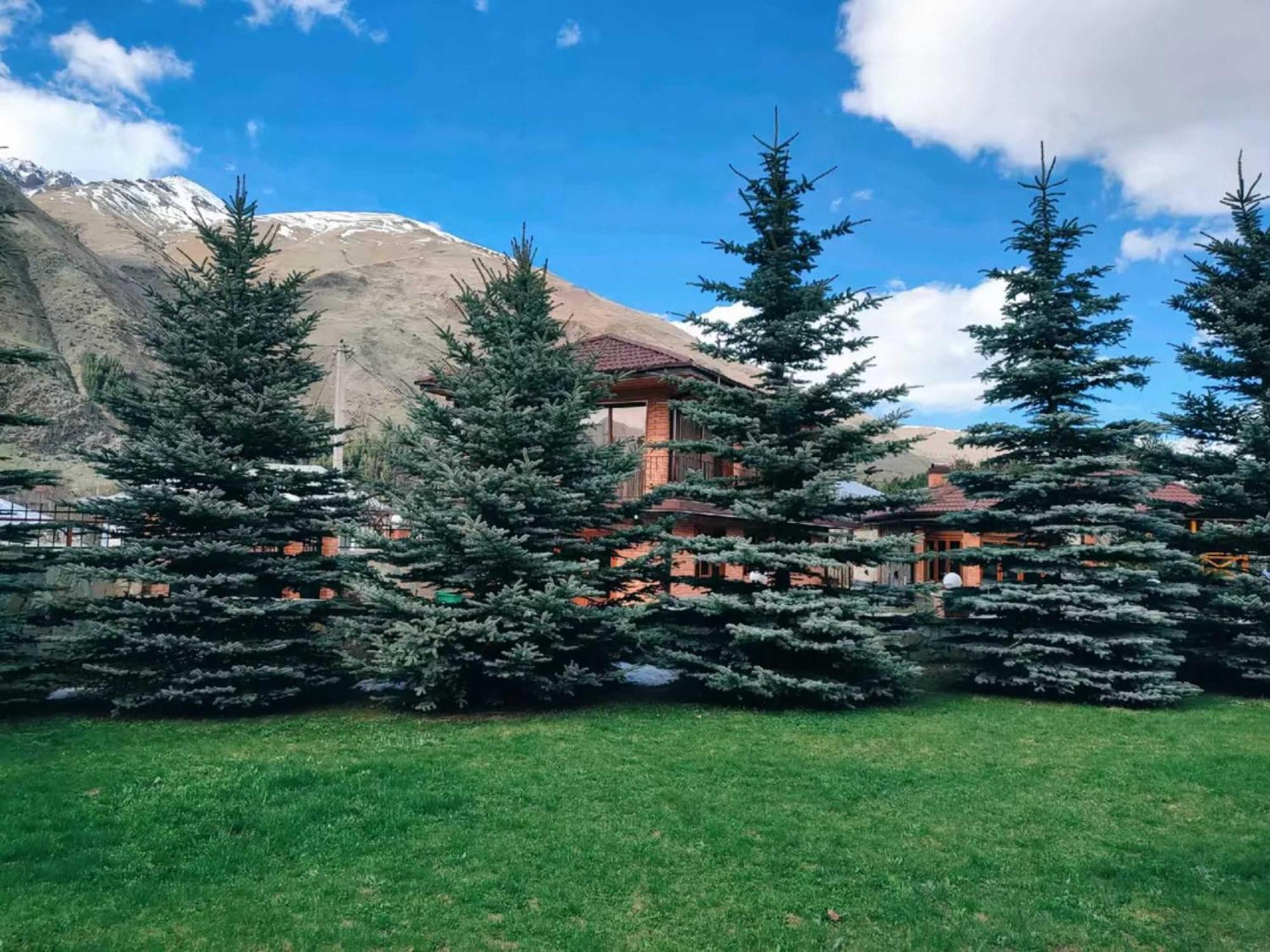 Vardisubani Villa Kazbegi Esterno foto