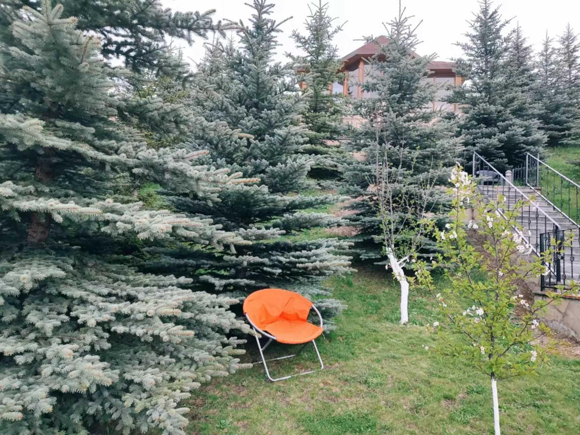 Vardisubani Villa Kazbegi Esterno foto